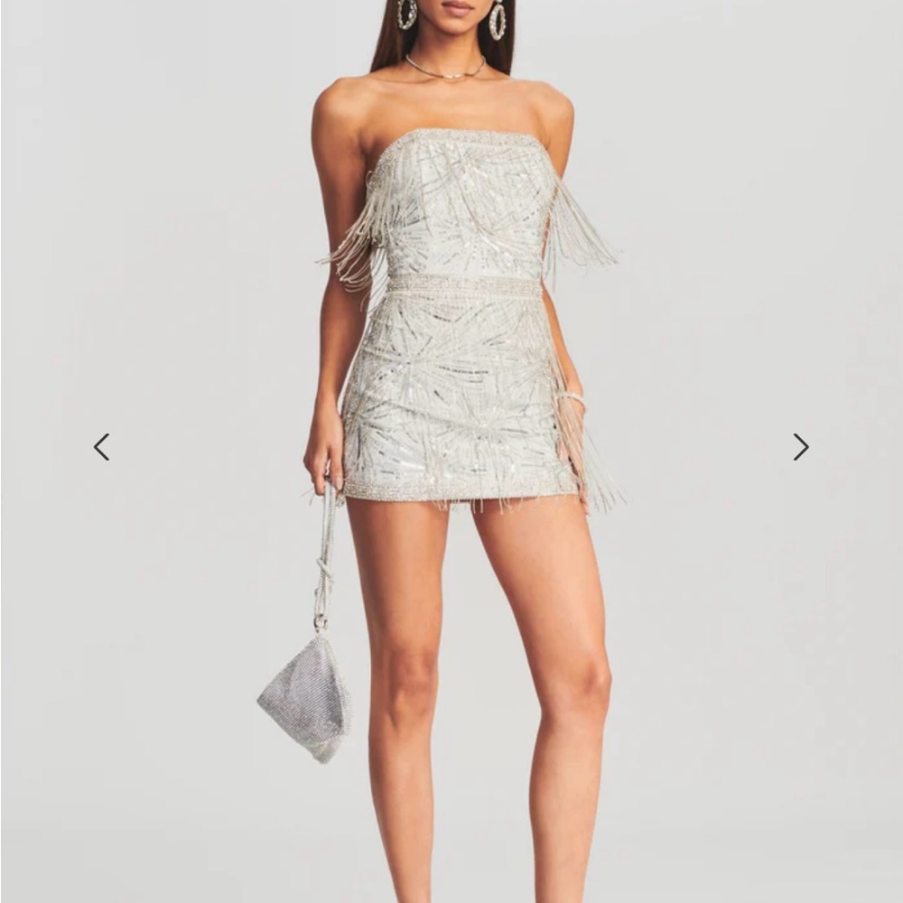 Retrofete Dixie Sequin Fringe Dress